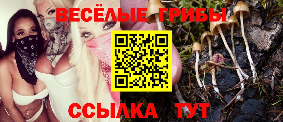Псилоцибиновые грибы Cubensis  Вход с VPN  Сухой Лог  Галлюциногенные грибы мухоморы 